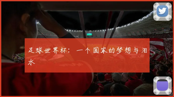 足球世界杯：一个国家的梦想与泪水